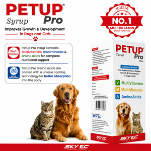 PETUP PRO Sirop Sûr Multivitamines Multiminéraux Acides Aminés Essentiels Soutien Immunitaire Complément Alimentaire pour Chiens Chats Tous Types - Product Image 2
