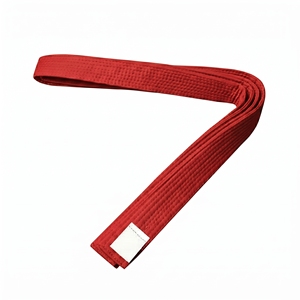 เข็มขัดศิลปะการต่อสู้สีส้มพรีเมียม ผ้าฝ้ายแท้ 100% ระบายอากาศได้ดี ความหนาแน่นของเส้นด้ายสูง พิมพ์ลายตามสั่ง ผู้ผลิต MOQ ต่ำ - Product Image 3