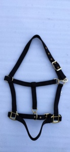 Best Wholesale Price for Durable PVC Horse Show <b>Halter</b> with Lead Chain Full Cob for Pony Size Options - Product Image 4