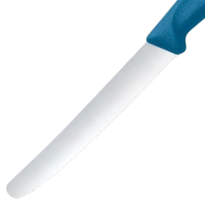 Cuchillos de Cocina con Mango Azul, Hoja Afilada de Acero Inoxidable, Cuchillos Profesionales para Cortar Carne, Frutas, Verduras y Alimentos - Product Image 5