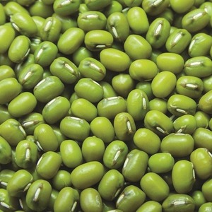 Haricot Vert Moong Entier de Qualité Supérieure, Légumineuses Comestibles de Haute Qualité pour les Marchés Mondiaux de Gros, ODM Disponible - Product Image 2