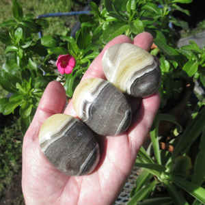 Vente en gros de zèbre naturel Celsite sculpté pierre de palme polie REIKI amour méditation pierre précieuse Feng Shui pierre semi-précieuse artisanat - Product Image 5