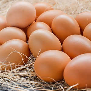 Huevos de Gallina Orgánicos Frescos Congelados a Precio de Fábrica en Stock, Mejor Precio, Entrega Rápida, Compre Huevos Blancos y Marrones de Austria en Venta - Product Image 1