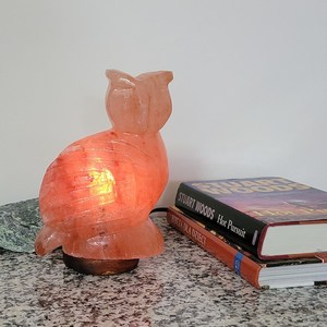 <b>Himalayan</b> <b>Rock</b> <b>Salt</b> Owl <b>Lamp</b> Natural Pink <b>Salt</b> Animal Light Modern Design Fire Resistant for Living Room & Kitchen - Product Image 3