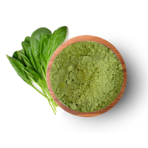 Poudre d'épinards pour soupes, assaisonnements, aliments santé et nutraceutiques - Product Image 2
