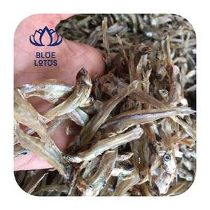Anchoas secas en oferta para sopa, caldo, condimento, ingrediente de marisco utilizado para cocinar platos de sopa en restaurantes de Vietnam - Product Image 1