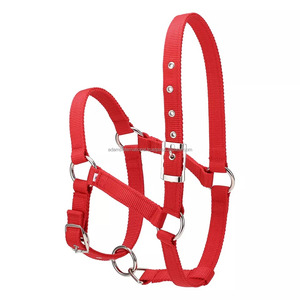 La mejor calidad de PVC caballo ecuestre Halter logotipo personalizado para montar al aire libre y Deportes - Product Image 2