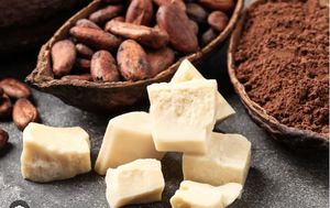 Fabricante de Manteca de Cacao Orgánica al por Mayor, Loción Pura de Manteca de Karité y Mango, Hidratante Terra Bio Tamil Nadu para la Piel de Mujeres - Product Image 4