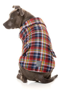 Vêtements pour chiens très demandés, manteaux d'hiver chauds en flanelle, design à carreaux, sans manches, boutonnés - Product Image 4