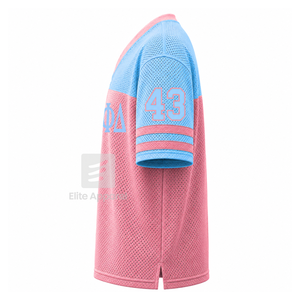 Camiseta personalizada de la hermandad Gamma Phi Delta con cuello en V, bloques de color, manga corta, azul cielo y rosa, estilo casual para mujer, de malla de poliéster. - Product Image 4