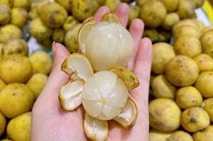 Fruits Longkong surgelés de qualité export pour jus, smoothies et desserts, au meilleur prix - Product Image 4