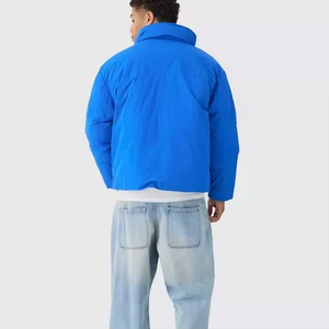 Blouson d'hiver pour homme personnalisé, nouvelle mode, imperméable, coupe-vent, couleur unie brillante, à capuche, en toile, antibactérien - Product Image 2