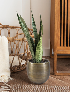 Elegante maceta de metal de hierro dorado con acabado texturizado maceta decorativa redonda para el hogar y el jardín planta interior al aire libre - Product Image 5