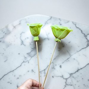 ดอกไม้โซล่าวูด VADEE SOLA WOOD FLOWER ทำมือ งานฝีมือแบบยั่งยืน ดอกกุหลาบสีเขียวอ่อน ขนาด 8.5 ซม. ทำจากเส้นใยพืชเซสบานีอา - Product Image 4