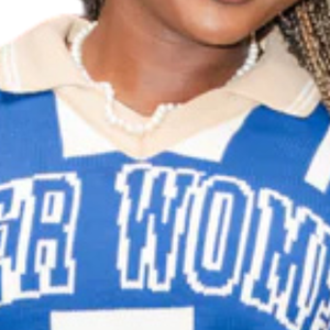 Pull en tricot bleu avec logo frontal Zeta Phi Beta pour femme, motif lettres grecques, tenue décontractée et élégante de qualité supérieure - Product Image 5