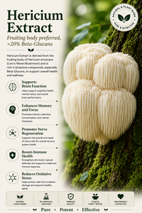Suministro directo de fábrica de HGO de extracto de Hericium natural puro (grado alimenticio) Especificación Cuerpo fructífero preferido, >20% Beta-Glucanos - Product Image 2