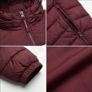 2025 North Puffer Approach hommes derniers manteaux d'hiver Long pardessus avec capuche détachée grande taille fourrure de renard hommes doudoune hommes - Product Image 4