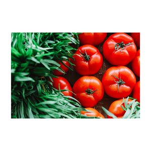 Tomates Frescos de Alta Calidad para Compras al por Mayor, Procesamiento de Alimentos, Suministro Minorista y Compradores Comerciales - Product Image 5