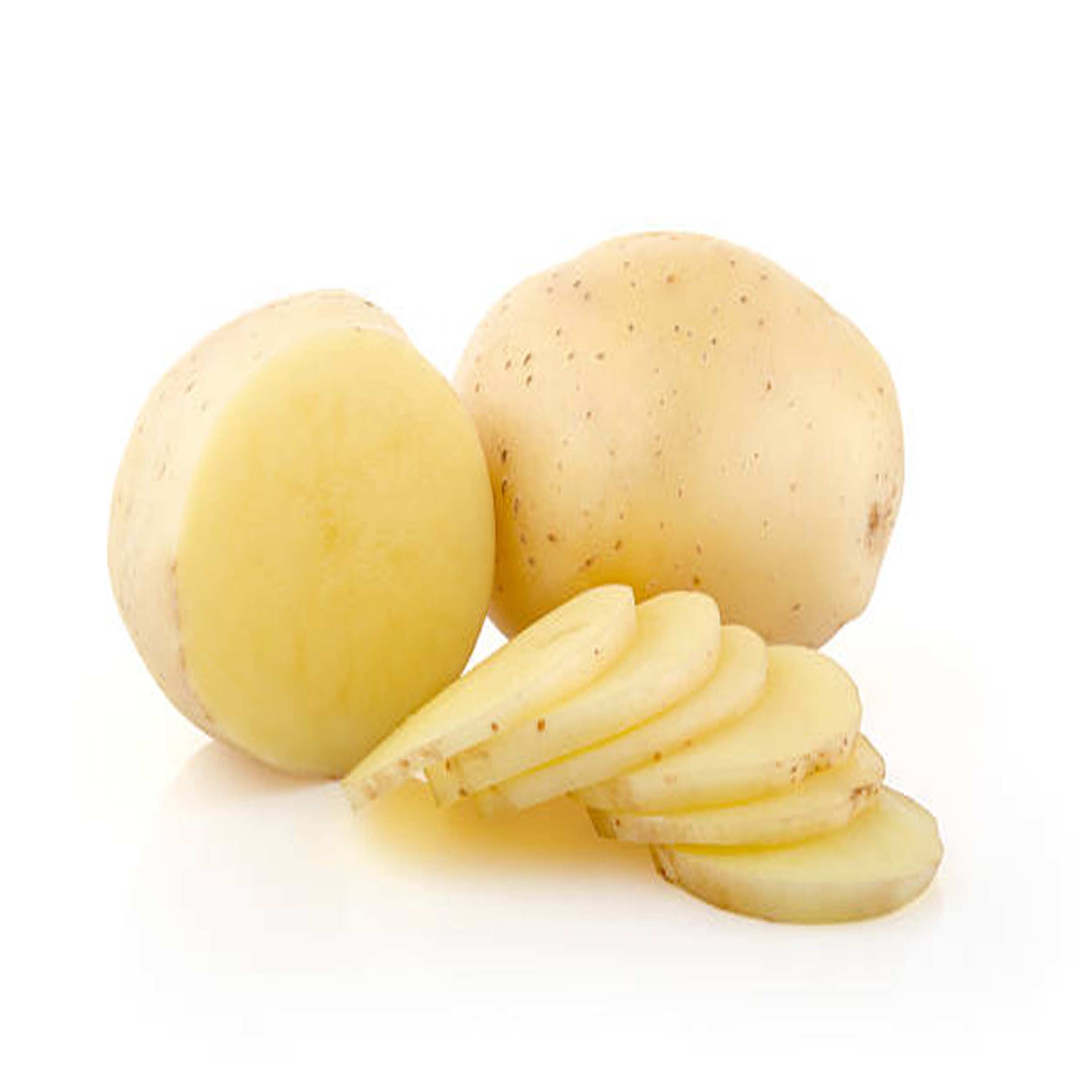 long red potatoes good suppliers