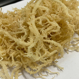 ต้นมอสแห้งคุณภาพสูงและราคาดีที่สุด/แห้ง Eucheuma cottonii seamoss/Ms. Lily + 84 906927736 - Product Image 1