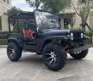 Vehículo Utilitario Eléctrico UTV 4X4 de 3000W, Alta Calidad, Multifuncional, con Transmisión Automática, Certificado EEC, en Oferta, 2025 - Product Image 2