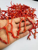 Perles de corail rouge italien brutes en forme d'arbre, pierres précieuses naturelles de haute qualité pour la fabrication de bijoux, lot en gros