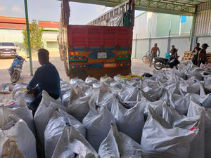 Semillas de loto secas negras naturales vietnamitas Producto agrícola de alta demanda con soporte OEM - Product Image 5