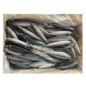 CREKS - Pescado Atún Congelado IQF, Cuerpo Entero, Envasado al Vacío en Agua, Sostenible, 10 kg, 30 cm - Product Image 5