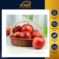 Premium verse appels, natuurlijk zoet, knapperig, sappig fruit voor groothandel, detailhandel, supermarkten en voedingsmiddelenleveranciers