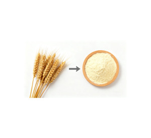Gluten de Trigo Vital de Primera Calidad, Listo para Enviar, Venta al Por Mayor, Grado Alimenticio, Venta a Granel, Suministro de Exportación de Calidad Premium - Product Image 6