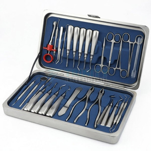 Nuevos Conjuntos de Instrumentos Dentales Color Plata de Alta Calidad en Venta - Product Image 6