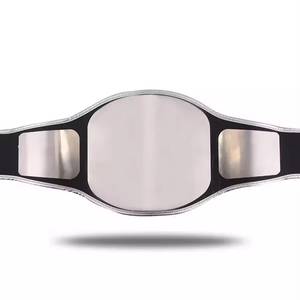 Ceinture de champion de lutte de style sportif, ceinture premium pour les fans et les collectionneurs de lutte, en vente, qualité supérieure - Product Image 1