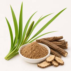 Extracto de Acorus Calamus Natural en Polvo de Fábrica Directa, Ingrediente Herbal Premium para Formulaciones de Salud Digestiva, Venta al Por Mayor OEM - Product Image 5