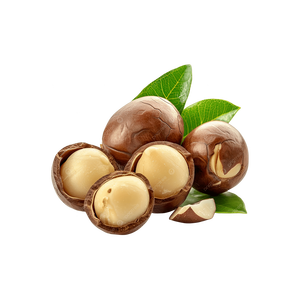 เม็ดมะคาเดเมียขายส่งจำนวนมาก ราคาถูก คุณภาพสูง - Product Image 1