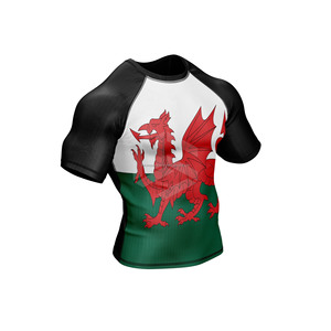 Camisetas de Compresión Deportivas para Hombre con Protección UPF50+, Mangas Largas, Diseño de Logotipo Personalizado, Marca MMA BJJ, Sublimación - Product Image 4