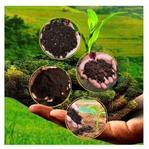 Engrais de compost de vers de terre de qualité supérieure pour l'amélioration des sols - Product Image 1