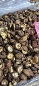 เห็ดหอมแห้งคุณภาพสูง - เห็ดดำหนาจากภูเขาตะวันตกเฉียงเหนือ - Product Image 6