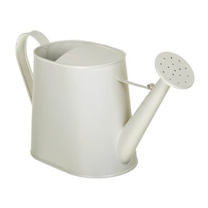 Arrosoir moderne de luxe, 1 pièce, pour salon, balcon, jardin, jardinière décorative, Pot de arrosage en fer chromé - Product Image 1