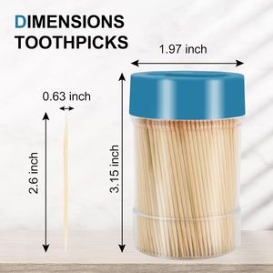 3000 Stuzzicadenti in Bambù 100% Naturale, Robusti e Lisci, con 1 Portastuzzicadenti Riutilizzabile per Feste - Product Image 2