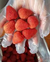 Premium Gedroogde Aardbeien Bulk Natuurlijke Knapperige Fruitsnack Vacuüm Verpakt OEM Groothandel - Mevr. Tarina