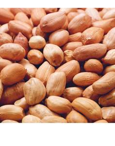 Cacahuetes Secos Orgánicos de Primera Calidad, 1 kg, Precio de Fábrica, Importadores de EAU, Calidad Millenium - Product Image 5