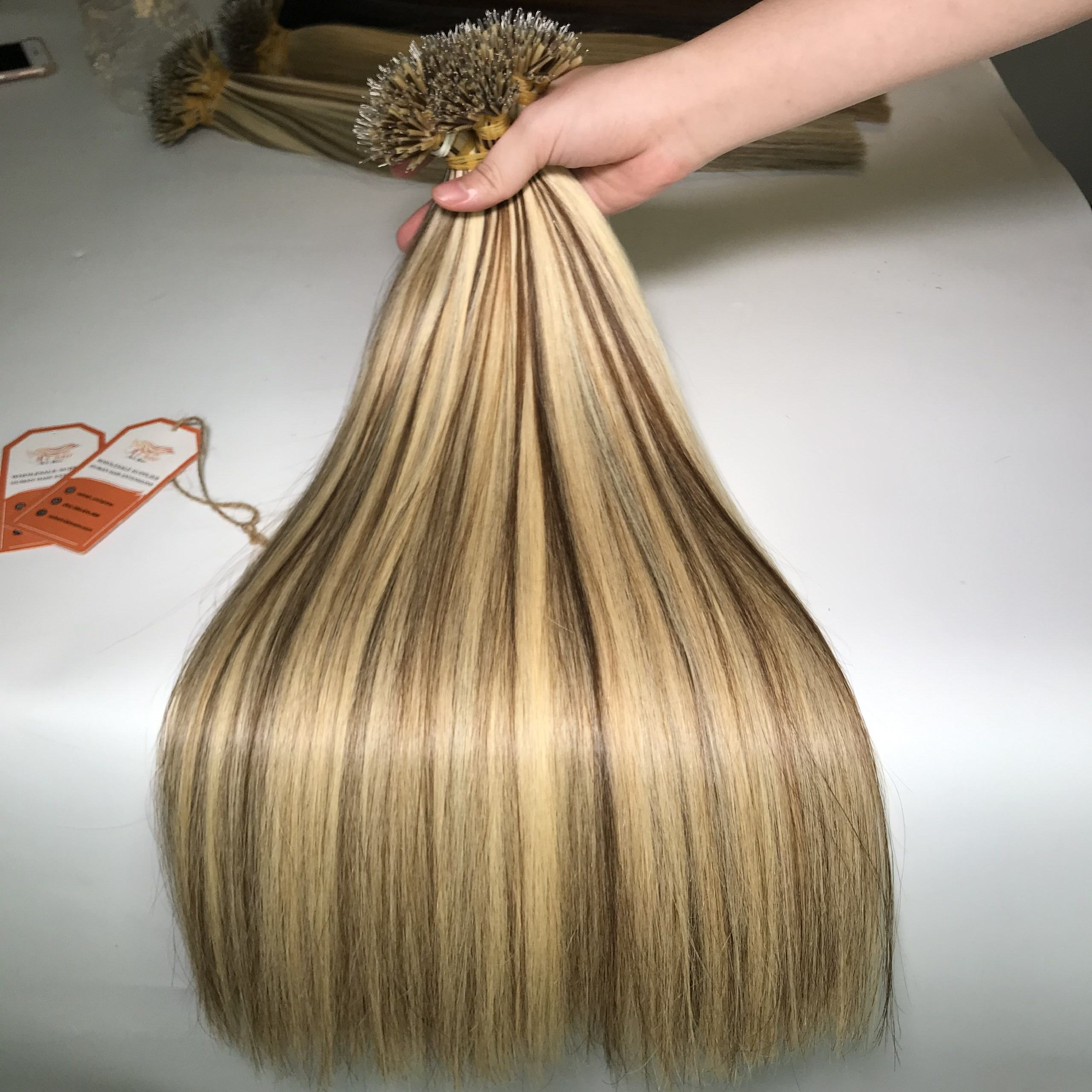 นาโนปลาย01