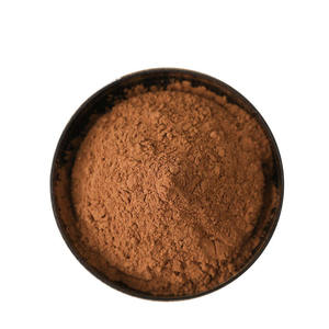 Poudre de cacao 100 % naturelle de qualité supérieure, pure, de qualité alimentaire, pour smoothies, gâteaux et boissons. Fournisseur en gros d'Inde. - Product Image 4