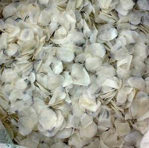 Escamas de Pescado Secas al por Mayor / Fuente de Colágeno a Granel / Escamas de Pescado de Alta Calidad de Vietnam - Product Image 3