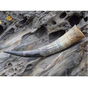 Cuerno para Beber Tallado a Mano con Grabados Intrincados de Temática Vikinga para la Venta en Tiendas de Miel y Artículos Vikingos - Product Image 3