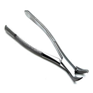 OEM High Quality Custom Logo Dental Forceps Manual Steel Product with Basis of Surgical Instruments by <b>Blush</b> surgical - Product Image 3