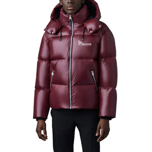 Veste matelassée unisexe pour le printemps, épaisseur standard, à capuche, imperméable, écologique, séchage rapide, fournisseur en gros OEM personnalisé - Product Image 1