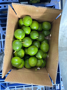 Limones sin Semillas de Vietnam de Primera Calidad, Color Verde Oscuro, Marca TECHMIFOOD (4.5 kg) para Cocinar y Preparar Bebidas - Product Image 1