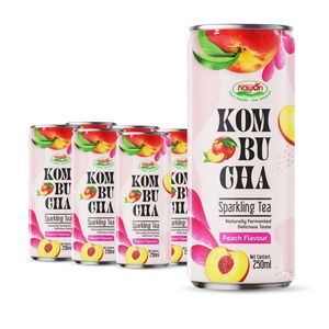 Bebida de Kombucha de Durazno de la Mejor Calidad, Té Gasificado Fermentado en Lata de 250 ml, Fabricante de Bebidas OEM/ODM de Alta Calidad, Muestra Gratuita - Product Image 1