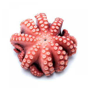Poulpe préparé pour les marchés de détail et les acheteurs professionnels de produits de la mer - Product Image 1